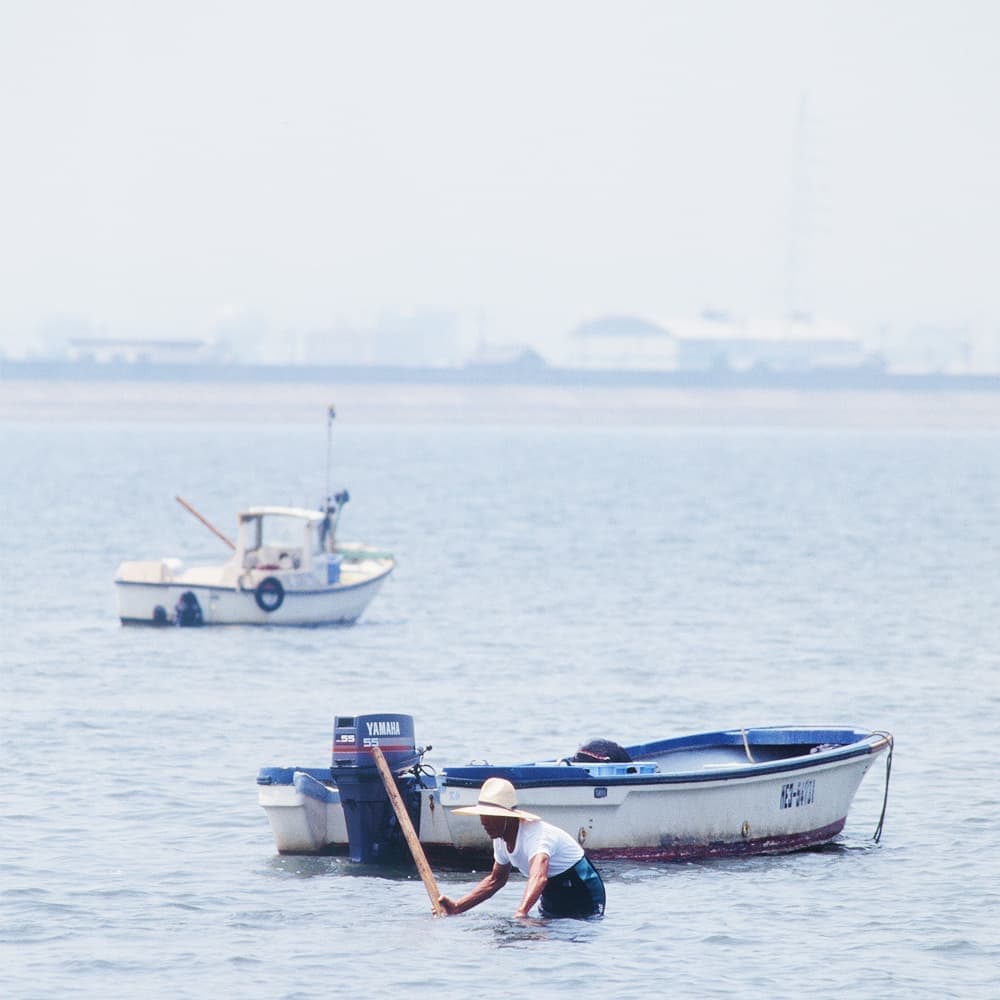 木曽川しじみ漁